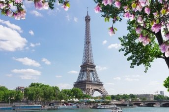 sightseeing-bus-tour